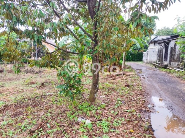 Kavling Tanah Dijual di Citeureup Bogor Spesifikasi 1000m2 Kavling Tanah Dijual di Citeureup Bogor Spesifikasi 1000m2