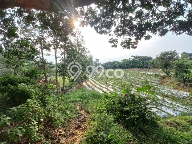 Lahan untuk Dijual Lokasi Sukaraja, Bogor Luas 5000m2 Hak Pakai Lahan untuk Dijual Lokasi Sukaraja, Bogor Luas 5000m2 Hak Pakai