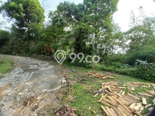 Lahan untuk Dijual Lokasi Sukaraja, Bogor Luas 5000m2 Hak Pakai Lahan untuk Dijual Lokasi Sukaraja, Bogor Luas 5000m2 Hak Pakai