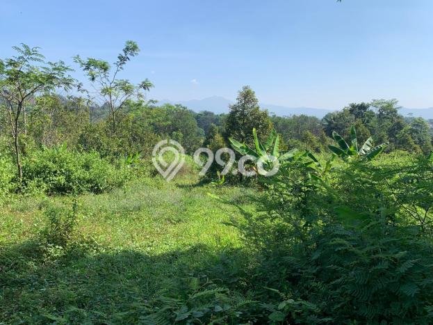 Tanah di Cianjur, Luas 27000m², Akses Cianjur, Cianjur, Cianjur Tanah di Cianjur, Luas 27000m², Akses Cianjur, Cianjur, Cianjur
