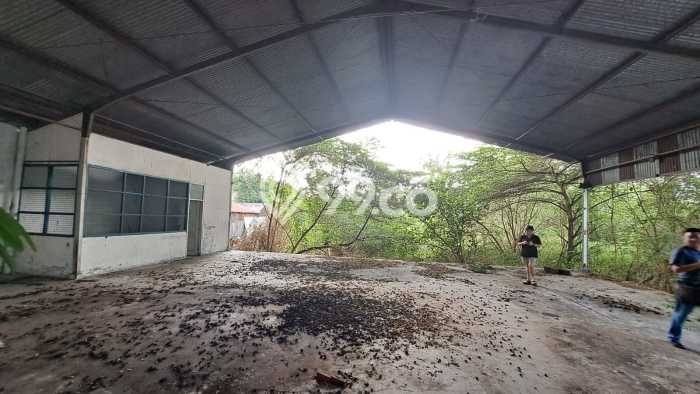 Jarang Ada! Tanah di Tegalrejo Punya Luas 2900m2 - Jarang Ada! Tanah di Tegalrejo Punya Luas 2900m2 -