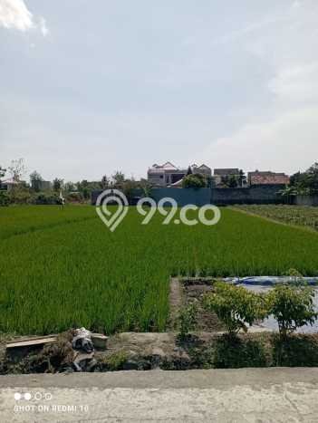 Tanah Lokasi Prima di Berbah, Luas 1126m2m², Kawasan Nyaman, Dekat Berbah, Sleman, Sleman Tanah Lokasi Prima di Berbah, Luas 1126m2m², Kawasan Nyaman, Dekat Berbah, Sleman, Sleman