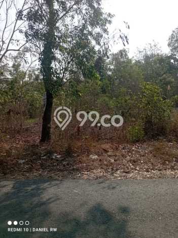 Kavling Tanah Dijual di Sedayu, Bantul, Luas 1269m2 Area Strategis Kavling Tanah Dijual di Sedayu, Bantul, Luas 1269m2 Area Strategis