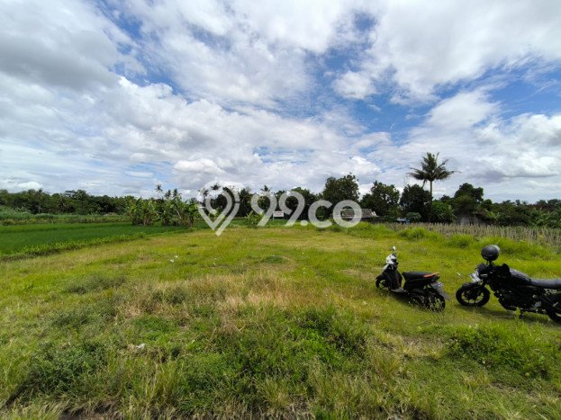 Kavling Tanah Dijual di Mlati, Sleman, Luas 1143m2 Area Strategis Kavling Tanah Dijual di Mlati, Sleman, Luas 1143m2 Area Strategis