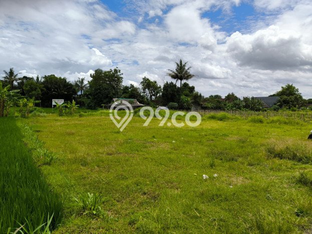 Kavling Tanah Dijual di Mlati, Sleman, Luas 1143m2 Area Strategis Kavling Tanah Dijual di Mlati, Sleman, Luas 1143m2 Area Strategis