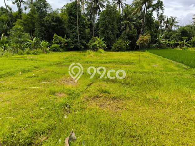 Kavling Tanah Dijual di Mlati, Sleman, Luas 1143m2 Area Strategis Kavling Tanah Dijual di Mlati, Sleman, Luas 1143m2 Area Strategis