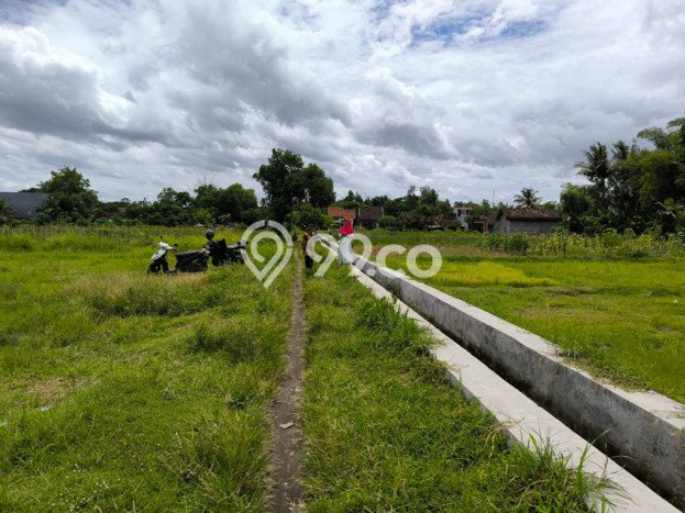 Kavling Tanah Dijual di Mlati, Sleman, Luas 1143m2 Area Strategis Kavling Tanah Dijual di Mlati, Sleman, Luas 1143m2 Area Strategis