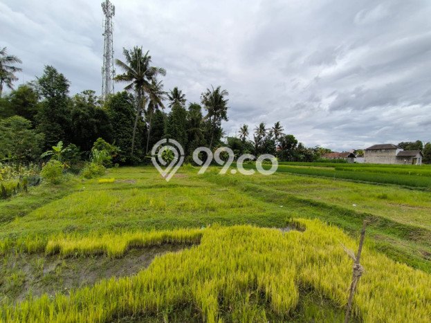 Kavling Tanah Dijual di Mlati, Sleman, Luas 1143m2 Area Strategis Kavling Tanah Dijual di Mlati, Sleman, Luas 1143m2 Area Strategis