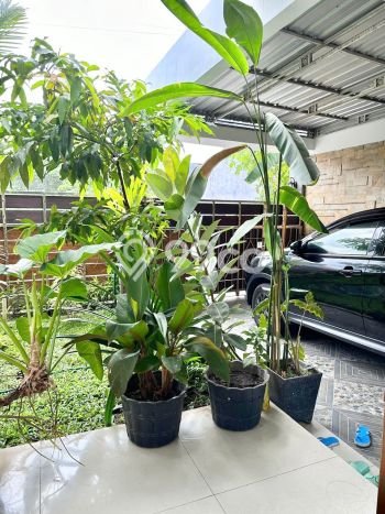 Dijual Rumah Elit Exclusive di Depok, Sleman Dijual Rumah Elit Exclusive di Depok, Sleman