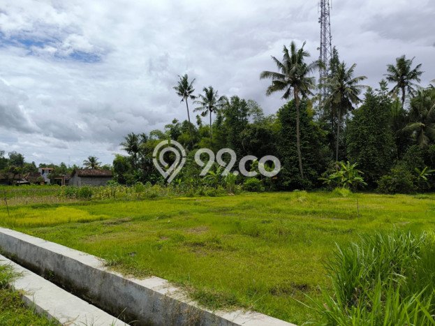 Kavling Tanah Dijual di Mlati, Sleman, Luas 1143m2 Area Strategis Kavling Tanah Dijual di Mlati, Sleman, Luas 1143m2 Area Strategis
