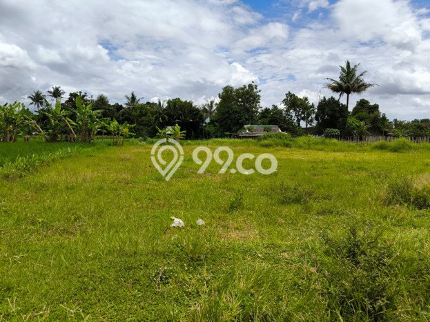 Kavling Tanah Dijual di Mlati, Sleman, Luas 1143m2 Area Strategis Kavling Tanah Dijual di Mlati, Sleman, Luas 1143m2 Area Strategis