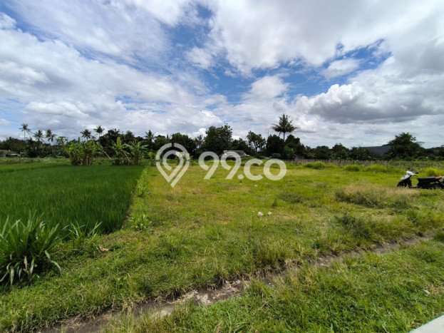 Kavling Tanah Dijual di Mlati, Sleman, Luas 1143m2 Area Strategis Kavling Tanah Dijual di Mlati, Sleman, Luas 1143m2 Area Strategis