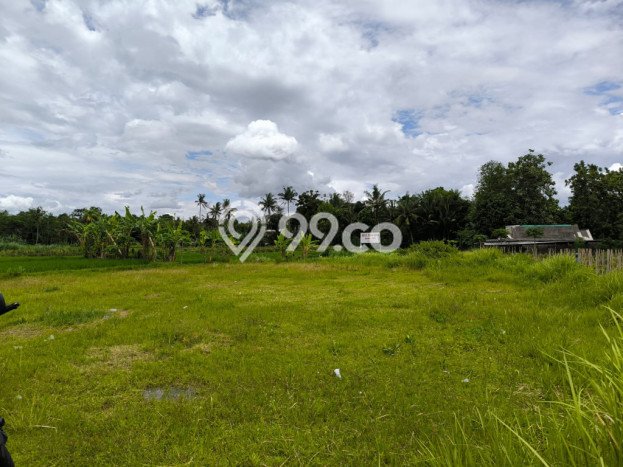Kavling Tanah Dijual di Mlati, Sleman, Luas 1143m2 Area Strategis Kavling Tanah Dijual di Mlati, Sleman, Luas 1143m2 Area Strategis
