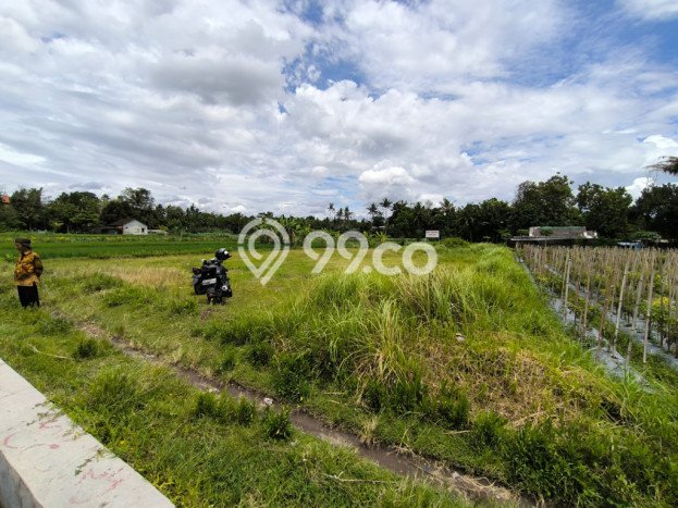 Kavling Tanah Dijual di Mlati, Sleman, Luas 1143m2 Area Strategis Kavling Tanah Dijual di Mlati, Sleman, Luas 1143m2 Area Strategis