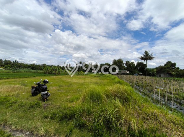 Kavling Tanah Dijual di Mlati, Sleman, Luas 1143m2 Area Strategis Kavling Tanah Dijual di Mlati, Sleman, Luas 1143m2 Area Strategis