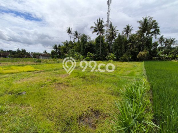 Kavling Tanah Dijual di Mlati, Sleman, Luas 1143m2 Area Strategis Kavling Tanah Dijual di Mlati, Sleman, Luas 1143m2 Area Strategis