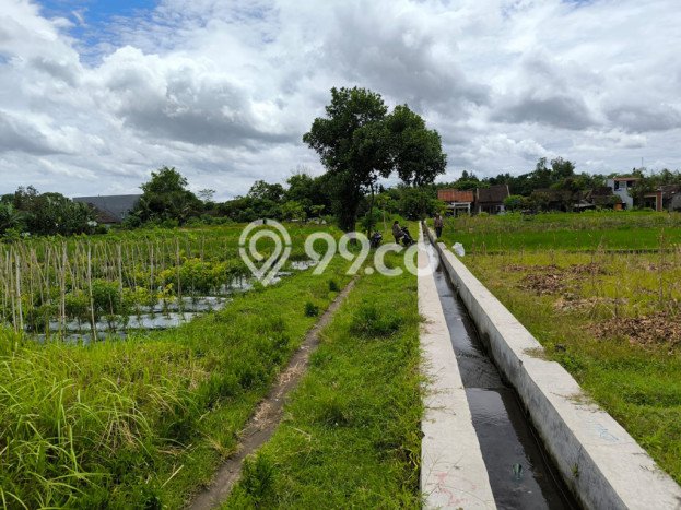 Kavling Tanah Dijual di Mlati, Sleman, Luas 1143m2 Area Strategis Kavling Tanah Dijual di Mlati, Sleman, Luas 1143m2 Area Strategis