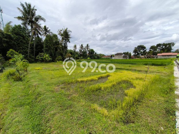 Kavling Tanah Dijual di Mlati, Sleman, Luas 1143m2 Area Strategis Kavling Tanah Dijual di Mlati, Sleman, Luas 1143m2 Area Strategis