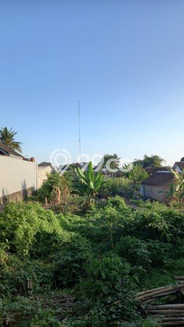 Tanah di Gamping, Sleman Luas 1089m2 Dijual Segera Tanah di Gamping, Sleman Luas 1089m2 Dijual Segera