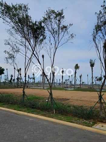 Tanah Kavling Dijual di Pantai Indah Kapuk 2, Jakarta Utara dengan Luas Tanah 300m2 Tanah Kavling Dijual di Pantai Indah Kapuk 2, Jakarta Utara dengan Luas Tanah 300m2