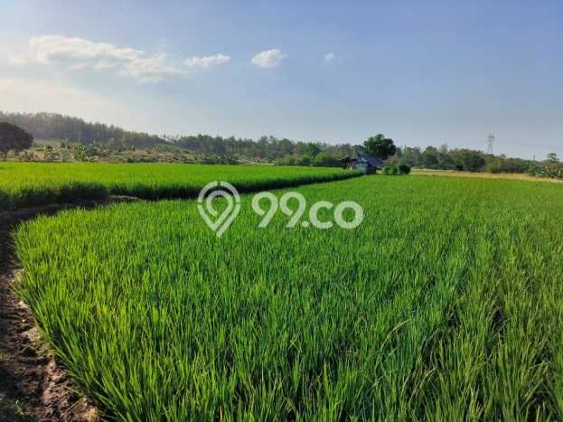 Untuk Dijual Tanah di Tomo Sumedang Luas 1e+07m2 SHM Untuk Dijual Tanah di Tomo Sumedang Luas 1e+07m2 SHM