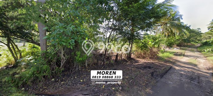 Tanah Kavling untuk Dijual di Pagelaran Pandeglang 50000m2 Tanah Kavling untuk Dijual di Pagelaran Pandeglang 50000m2