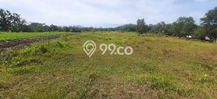 Tanah di Cikande, Serang Luas 5e+06m2 Dijual Segera Tanah di Cikande, Serang Luas 5e+06m2 Dijual Segera