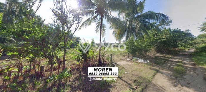 Tanah Kavling untuk Dijual di Pagelaran Pandeglang 50000m2 Tanah Kavling untuk Dijual di Pagelaran Pandeglang 50000m2