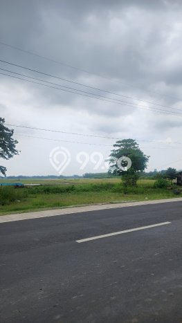 Dijual Tanah di Kalijati Subang Luas 3.6e+06m2 - Dijual Tanah di Kalijati Subang Luas 3.6e+06m2 -