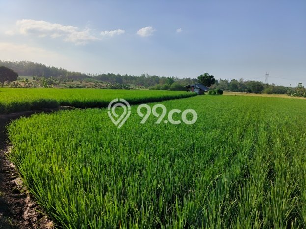 Untuk Dijual Tanah di Tomo Sumedang Luas 1e+07m2 SHM Untuk Dijual Tanah di Tomo Sumedang Luas 1e+07m2 SHM