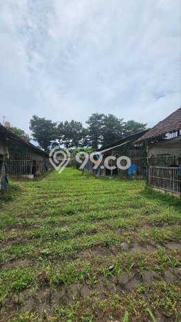 Tanah Dijual Lokasi Wajak, Malang dengan Luas Tanah 4640m2 dan Status SHM Tanah Dijual Lokasi Wajak, Malang dengan Luas Tanah 4640m2 dan Status SHM