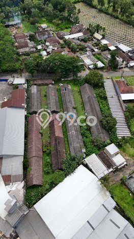 Tanah Dijual Lokasi Wajak, Malang dengan Luas Tanah 4640m2 dan Status SHM Tanah Dijual Lokasi Wajak, Malang dengan Luas Tanah 4640m2 dan Status SHM