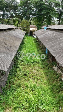 Tanah Dijual Lokasi Wajak, Malang dengan Luas Tanah 4640m2 dan Status SHM Tanah Dijual Lokasi Wajak, Malang dengan Luas Tanah 4640m2 dan Status SHM