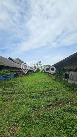 Tanah Dijual Lokasi Wajak, Malang dengan Luas Tanah 4640m2 dan Status SHM Tanah Dijual Lokasi Wajak, Malang dengan Luas Tanah 4640m2 dan Status SHM