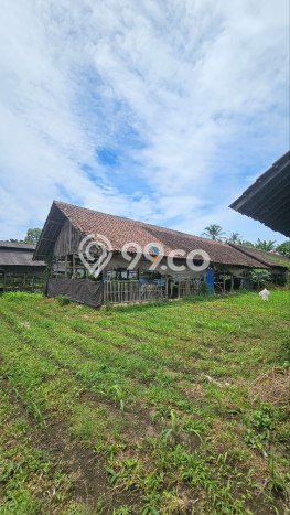 Tanah Dijual Lokasi Wajak, Malang dengan Luas Tanah 4640m2 dan Status SHM Tanah Dijual Lokasi Wajak, Malang dengan Luas Tanah 4640m2 dan Status SHM