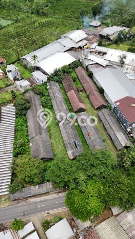 Tanah Dijual Lokasi Wajak, Malang dengan Luas Tanah 4640m2 dan Status SHM Tanah Dijual Lokasi Wajak, Malang dengan Luas Tanah 4640m2 dan Status SHM