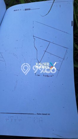 Tanah Dijual Lokasi Pakisaji, Malang Luas 11960m2 Legalitas Aman Tanah Dijual Lokasi Pakisaji, Malang Luas 11960m2 Legalitas Aman