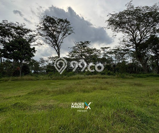 Tanah Kavling Dijual di Malang dengan Spesifikasi 900m2 Tanah Kavling Dijual di Malang dengan Spesifikasi 900m2