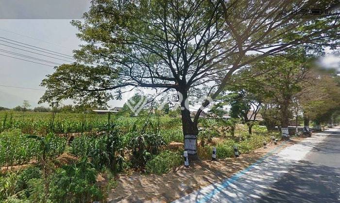 Tanah Dijual Lokasi Purwosari Pasuruan SHM Tanah Dijual Lokasi Purwosari Pasuruan SHM