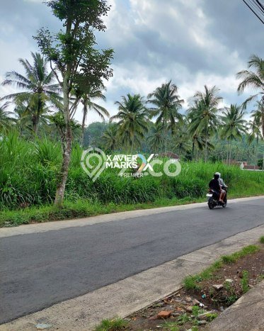 Tanah di Dampit, Malang Luas 58000m2 Dijual Segera Tanah di Dampit, Malang Luas 58000m2 Dijual Segera