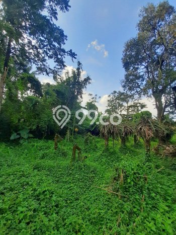 Lahan untuk Dijual Lokasi Prigen, Pasuruan Luas 5000m2 SHM Lahan untuk Dijual Lokasi Prigen, Pasuruan Luas 5000m2 SHM