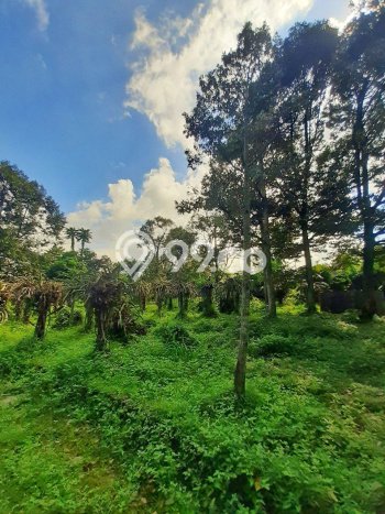 Lahan untuk Dijual Lokasi Prigen, Pasuruan Luas 5000m2 SHM Lahan untuk Dijual Lokasi Prigen, Pasuruan Luas 5000m2 SHM