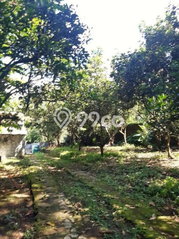 Lahan untuk Dijual Lokasi Prigen, Pasuruan Luas 5000m2 SHM Lahan untuk Dijual Lokasi Prigen, Pasuruan Luas 5000m2 SHM