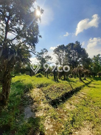 Lahan untuk Dijual Lokasi Prigen, Pasuruan Luas 5000m2 SHM Lahan untuk Dijual Lokasi Prigen, Pasuruan Luas 5000m2 SHM