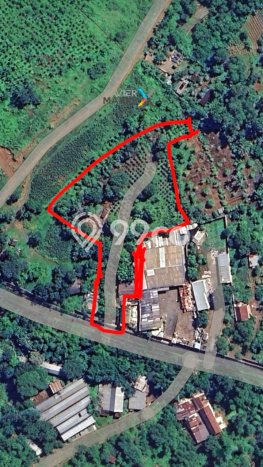 Lahan untuk Dijual Lokasi Prigen, Pasuruan Luas 5000m2 SHM Lahan untuk Dijual Lokasi Prigen, Pasuruan Luas 5000m2 SHM