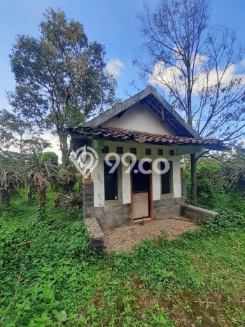 Lahan untuk Dijual Lokasi Prigen, Pasuruan Luas 5000m2 SHM Lahan untuk Dijual Lokasi Prigen, Pasuruan Luas 5000m2 SHM
