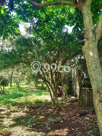 Lahan untuk Dijual Lokasi Prigen, Pasuruan Luas 5000m2 SHM Lahan untuk Dijual Lokasi Prigen, Pasuruan Luas 5000m2 SHM