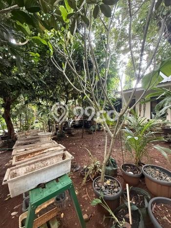 Kavling Tanah untuk Dijual di Cirendeu, Jakarta Selatan, Luas 242m2 Kavling Tanah untuk Dijual di Cirendeu, Jakarta Selatan, Luas 242m2