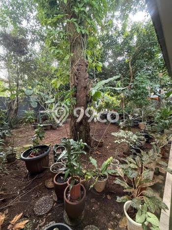 Kavling Tanah untuk Dijual di Cirendeu, Jakarta Selatan, Luas 242m2 Kavling Tanah untuk Dijual di Cirendeu, Jakarta Selatan, Luas 242m2