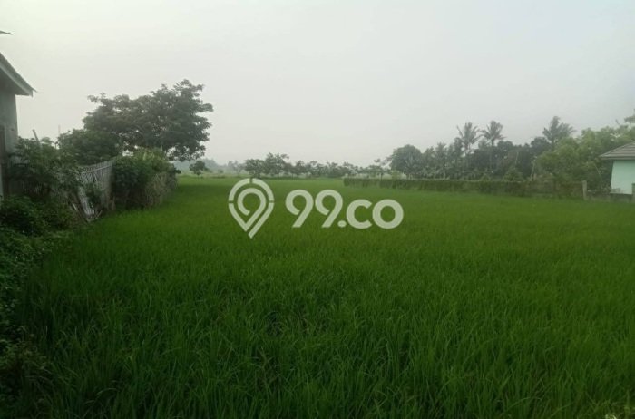 Kavling Tanah di Sepatan Dijual Luas 5056m2 Legalitas - Kavling Tanah di Sepatan Dijual Luas 5056m2 Legalitas -